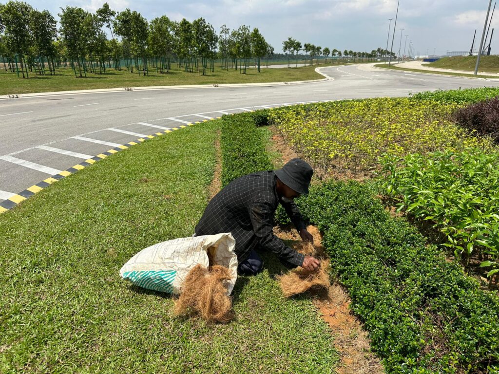 WhatsApp Image 2024-07-25 at 14.45.27_1b08b537 Senai Airport roundabout landscape maintenance